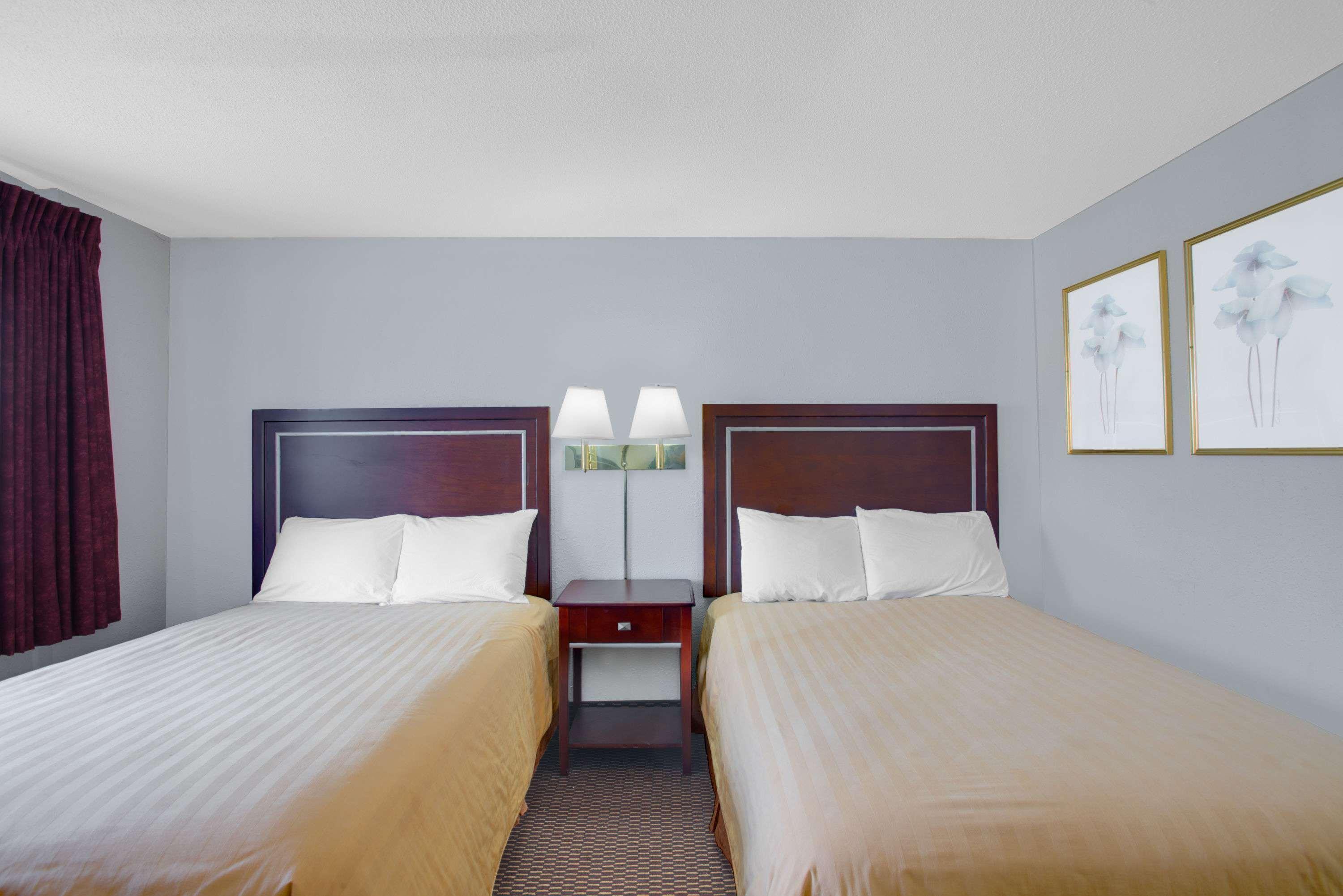 Queen City Inn バンゴー エクステリア 写真